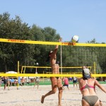 DM_Photo_1
